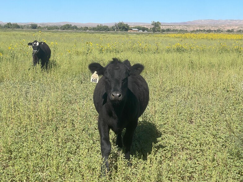 8 Chunky rd, Socorro, NM à vendre - Autre – Image 2 sur 5