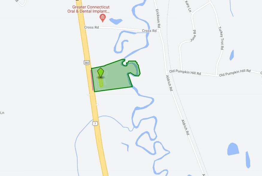 507 Danbury Rd, New Milford, CT à louer - Plan cadastral – Image 2 sur 23
