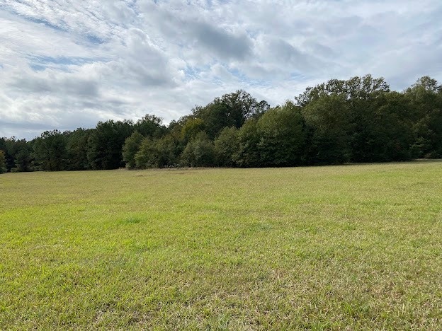 0 Hwy 41S, Foreman, AR à vendre - Autre – Image 3 sur 13