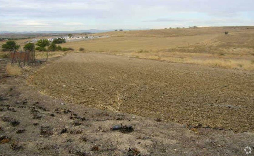 View Photo