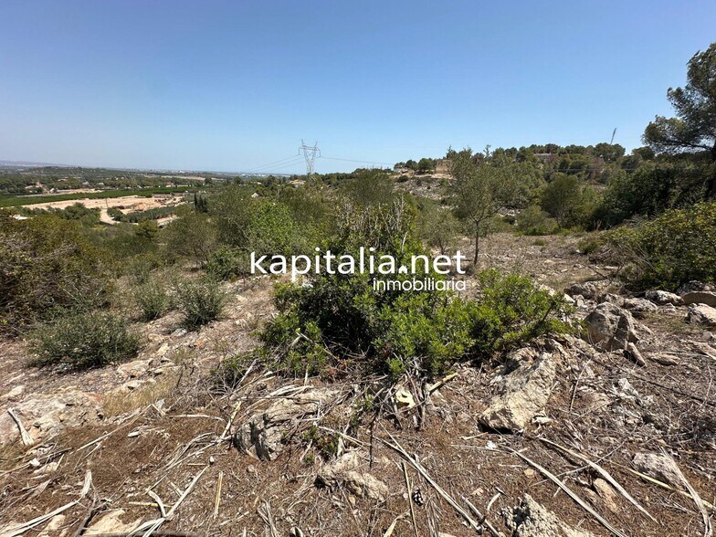 Terrain dans Alberic, Valencia à vendre - Plan de site – Image 2 sur 4