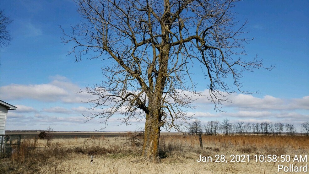 74 County Road 325, Pollard, AR à vendre - Photo de l’immeuble – Image 3 sur 9