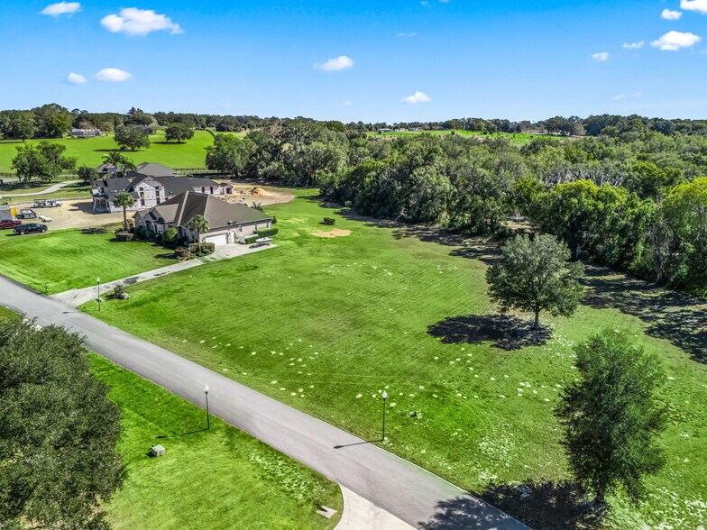 SE 156th Lane, Weirsdale, FL à vendre - Photo de l’immeuble – Image 2 sur 16