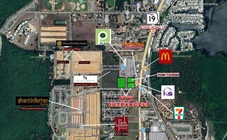 Plus de détails pour SR19 & Slim Haywood Ave, Tavares, FL - Terrain à vendre