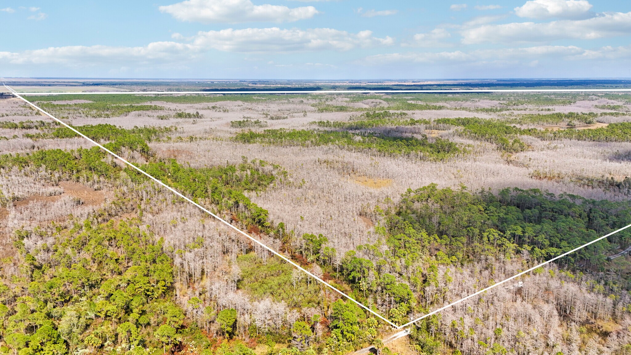 11500 SW Warfield Blvd, Indiantown, FL à vendre Photo principale– Image 1 sur 28