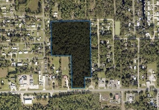 Plus de détails pour State Road 40, Astor, FL - Terrain à vendre