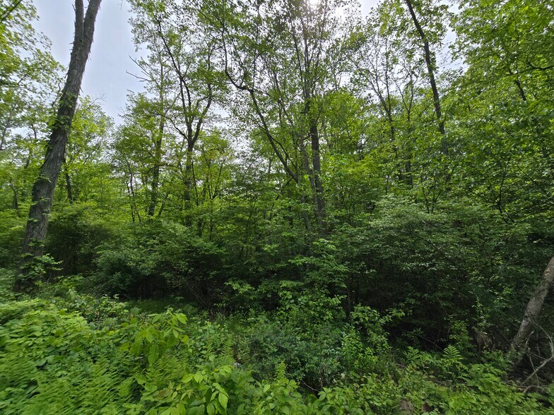 76 Wales rd, Andover, CT à vendre - Photo de l’immeuble – Image 2 sur 11