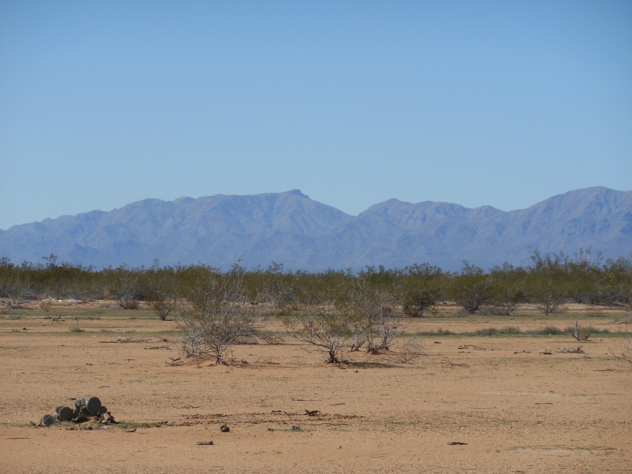 US 60 & SR 71, Aguila, AZ à vendre Photo de l’immeuble– Image 1 sur 2