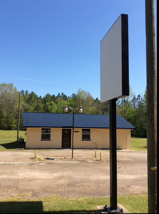 Plus de détails pour 38087 Hwy 561, Hollister, NC - Local commercial à vendre