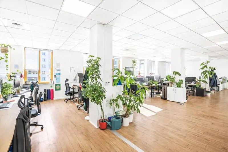 23 Boulevard Jules Favre, Lyon à louer - Photo intérieure – Image 3 sur 15