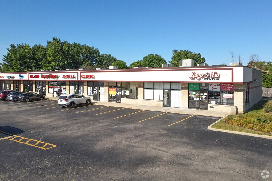 501-541 W 87th St, Naperville, IL à vendre - Photo de l’immeuble – Image 3 sur 6