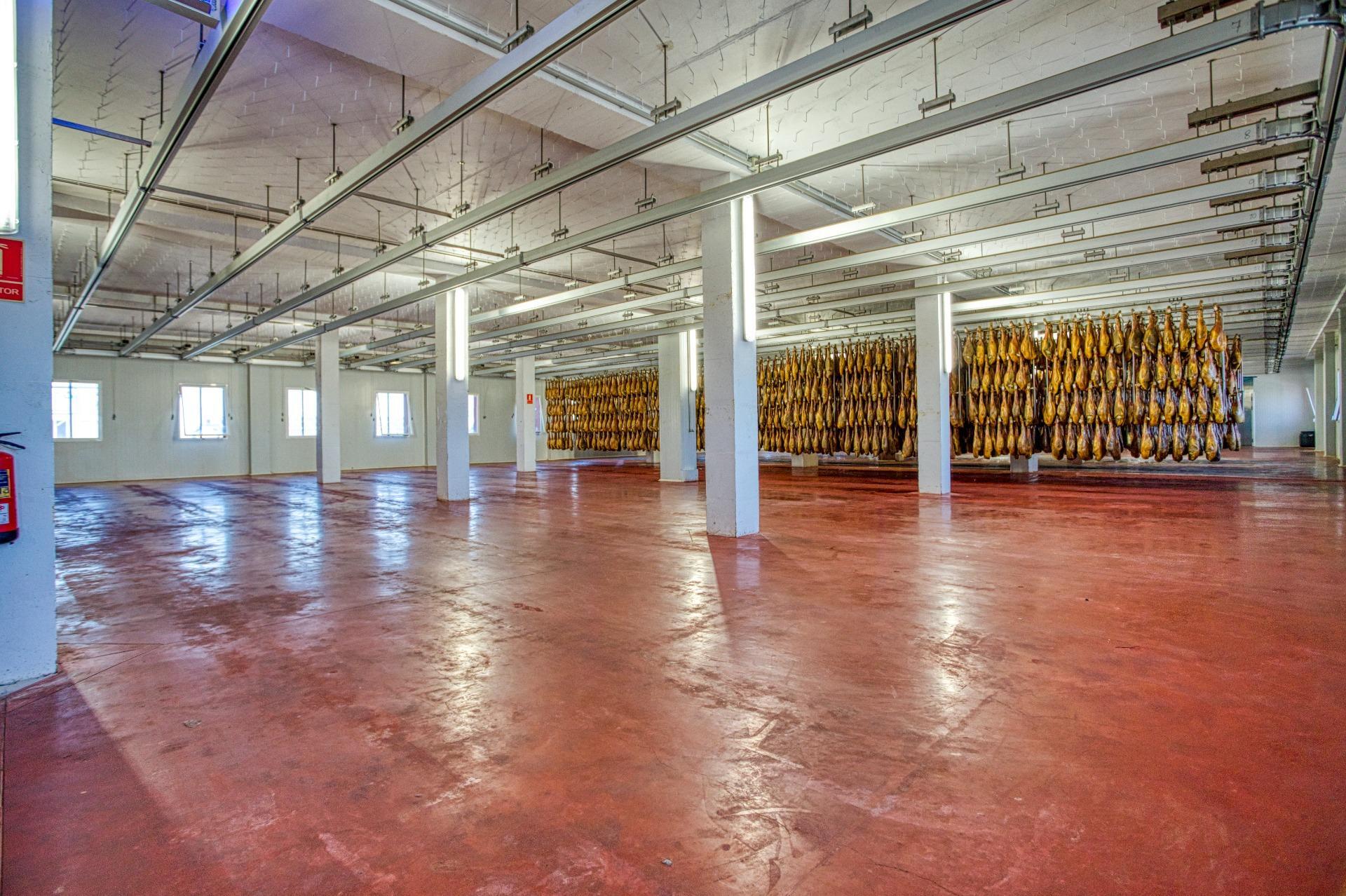 Industriel/Logistique dans Ávila, Ávila à vendre Photo intérieure– Image 1 sur 32