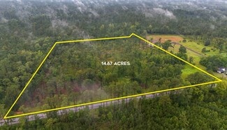 Plus de détails pour 1035 Highway 61, Ridgeville, SC - Terrain à vendre