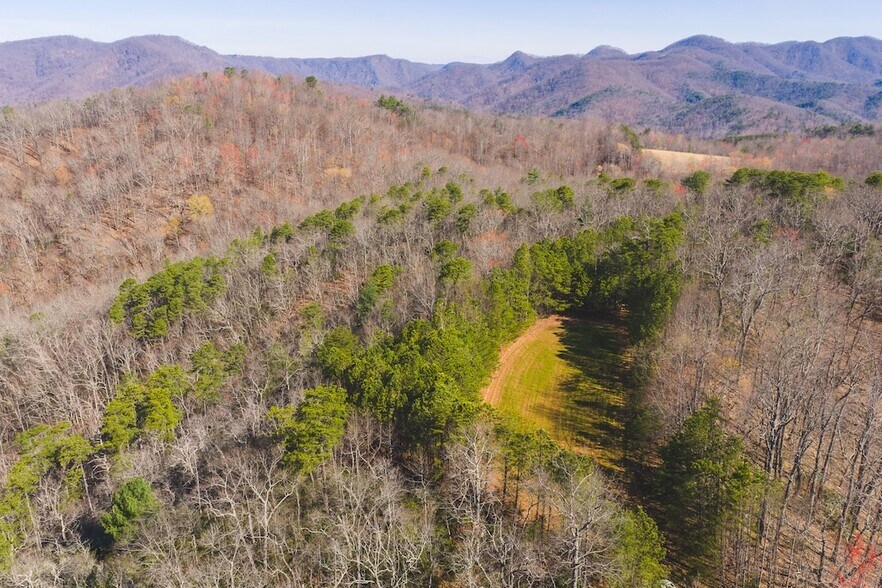 TBD Ararat hwy, Ararat, VA à vendre - Photo de l’immeuble – Image 3 sur 27