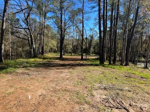 169 Hutchinson Rd, Jacksonville, FL à vendre - Photo de l’immeuble – Image 2 sur 3