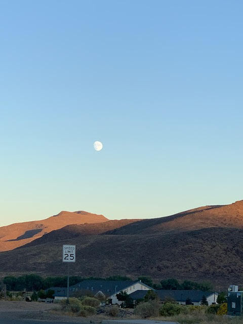 View Photo