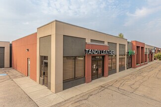 Plus de détails pour 17708-17720 107 Av NW, Edmonton, AB - Industriel/Logistique à louer