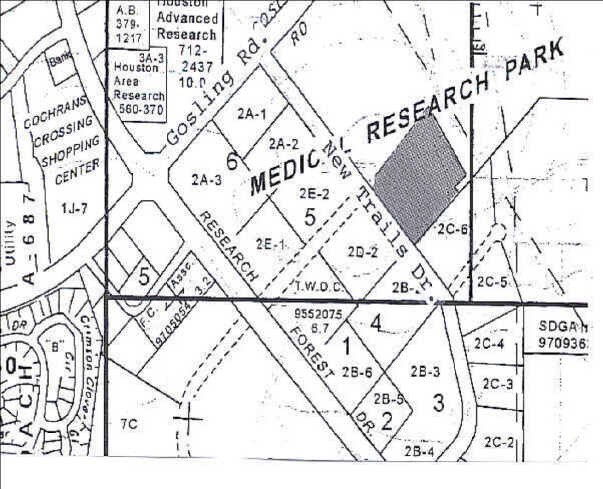 8708 Technology Forest Pl, The Woodlands, TX à louer - Photo de l’immeuble – Image 2 sur 7