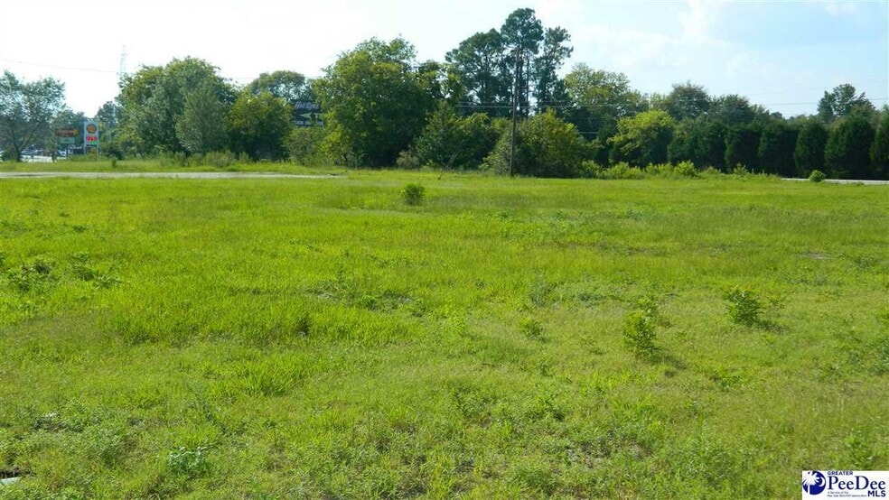 4603 W Highway 76, Marion, SC à vendre - Photo principale – Image 1 sur 49