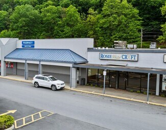 Plus de détails pour 42 Kings Vlg, Minersville, PA - Local commercial à louer