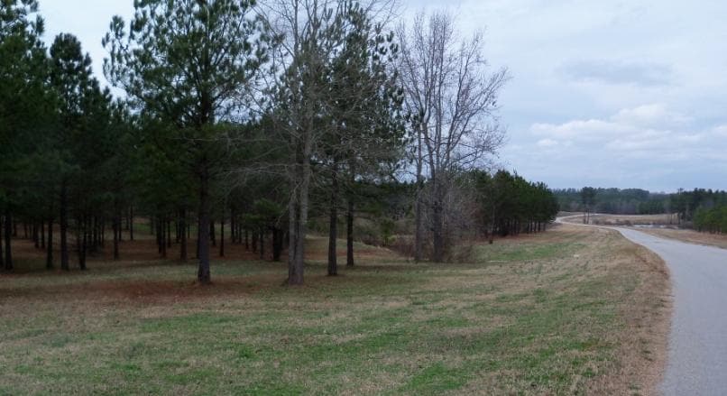 215 Chalmers Park Rd, Greenwood, SC à vendre - Photo principale – Image 1 sur 4