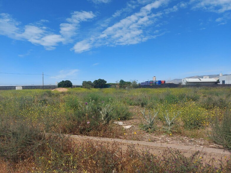 Terrain dans El Ejido, Almería à vendre - Plan de site – Image 1 sur 4