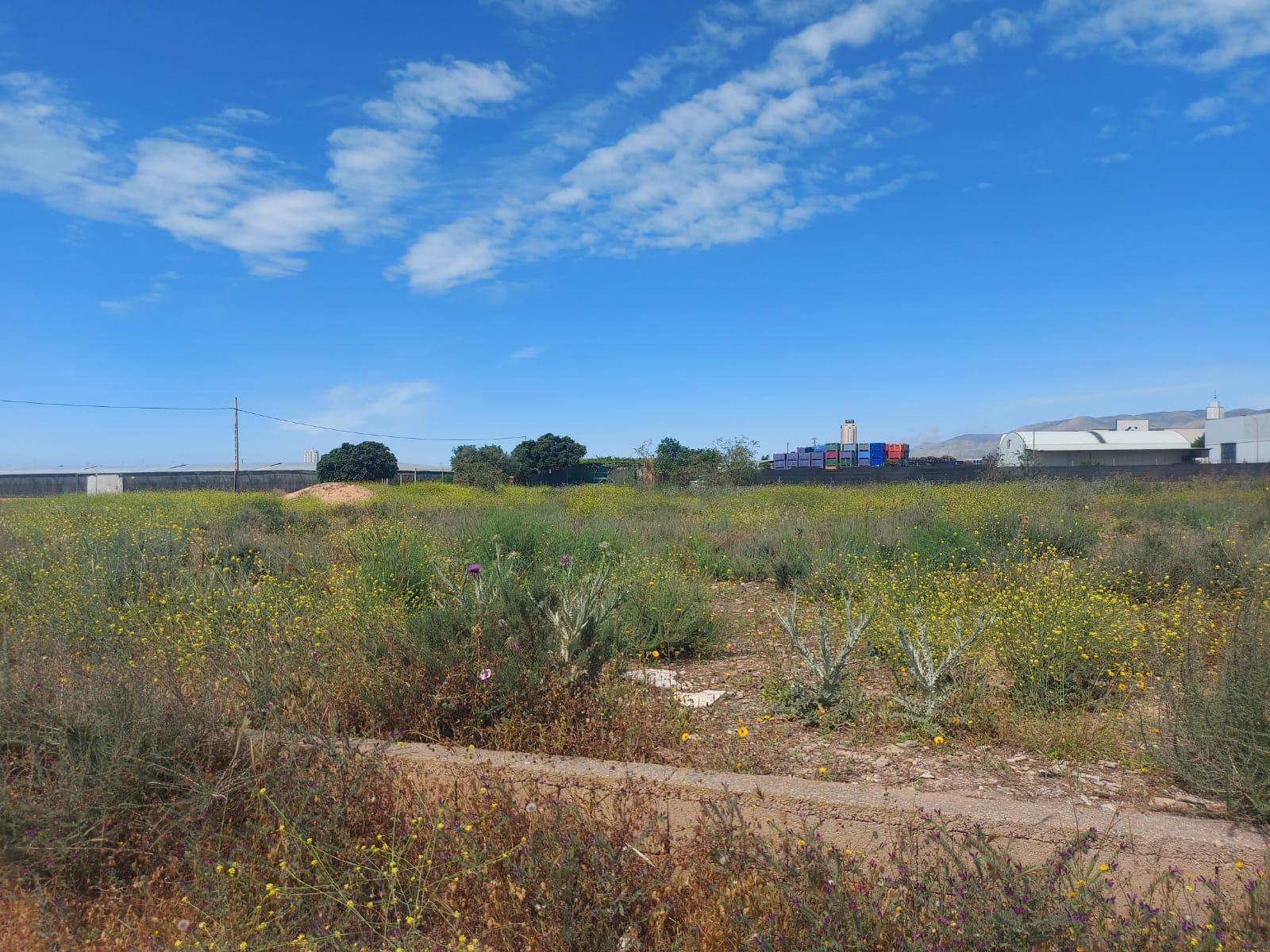 Terrain dans El Ejido, Almería à vendre Plan de site– Image 1 sur 5