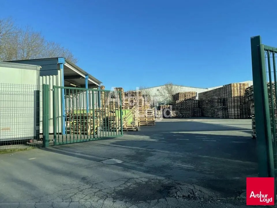  dans Écouflant à vendre Photo principale– Image 1 sur 1