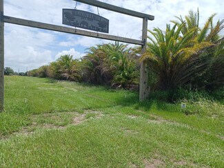 Plus de détails pour 46515 State Road 64 E, Myakka City, FL - Terrain à vendre