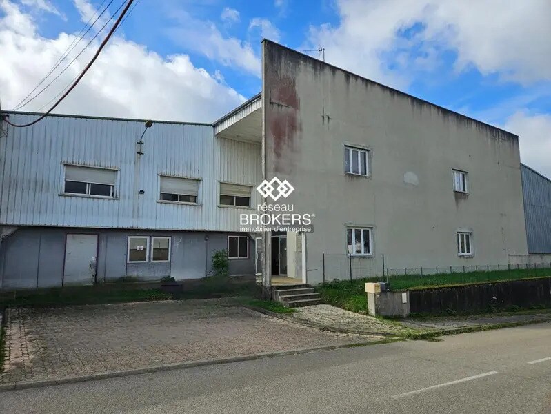 Industriel/Logistique dans Domsure à vendre Photo de l’immeuble– Image 1 sur 8