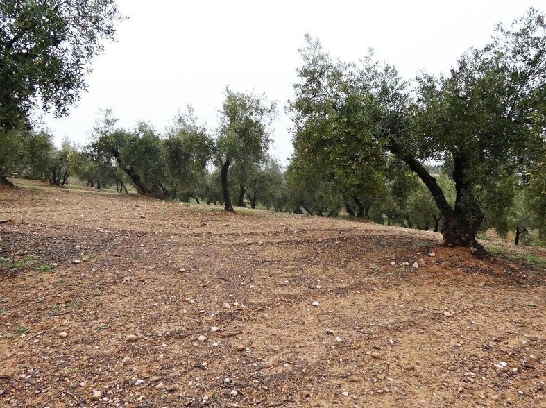 Terrain dans Peligros, Granada à vendre - Photo de l’immeuble – Image 2 sur 22