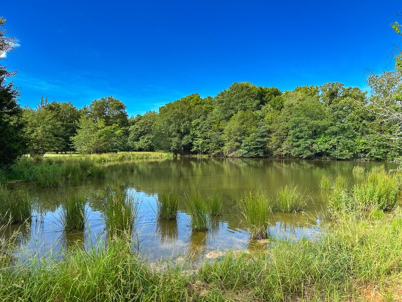 Intersection of FM 2029 and FM 409, Telephone, TX à vendre - Aérien – Image 1 sur 38