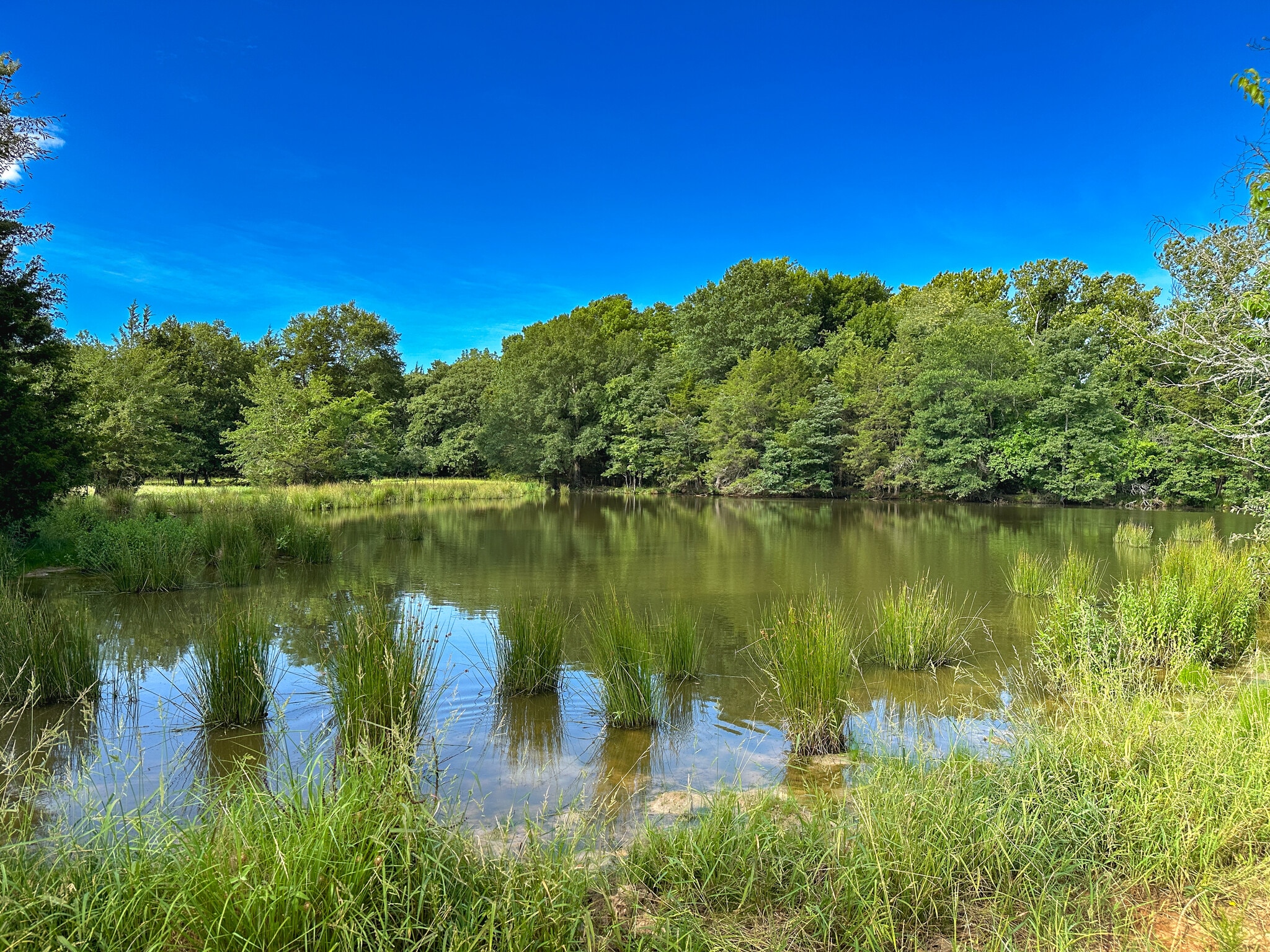 Intersection of FM 2029 and FM 409, Telephone, TX à vendre Aérien– Image 1 sur 39
