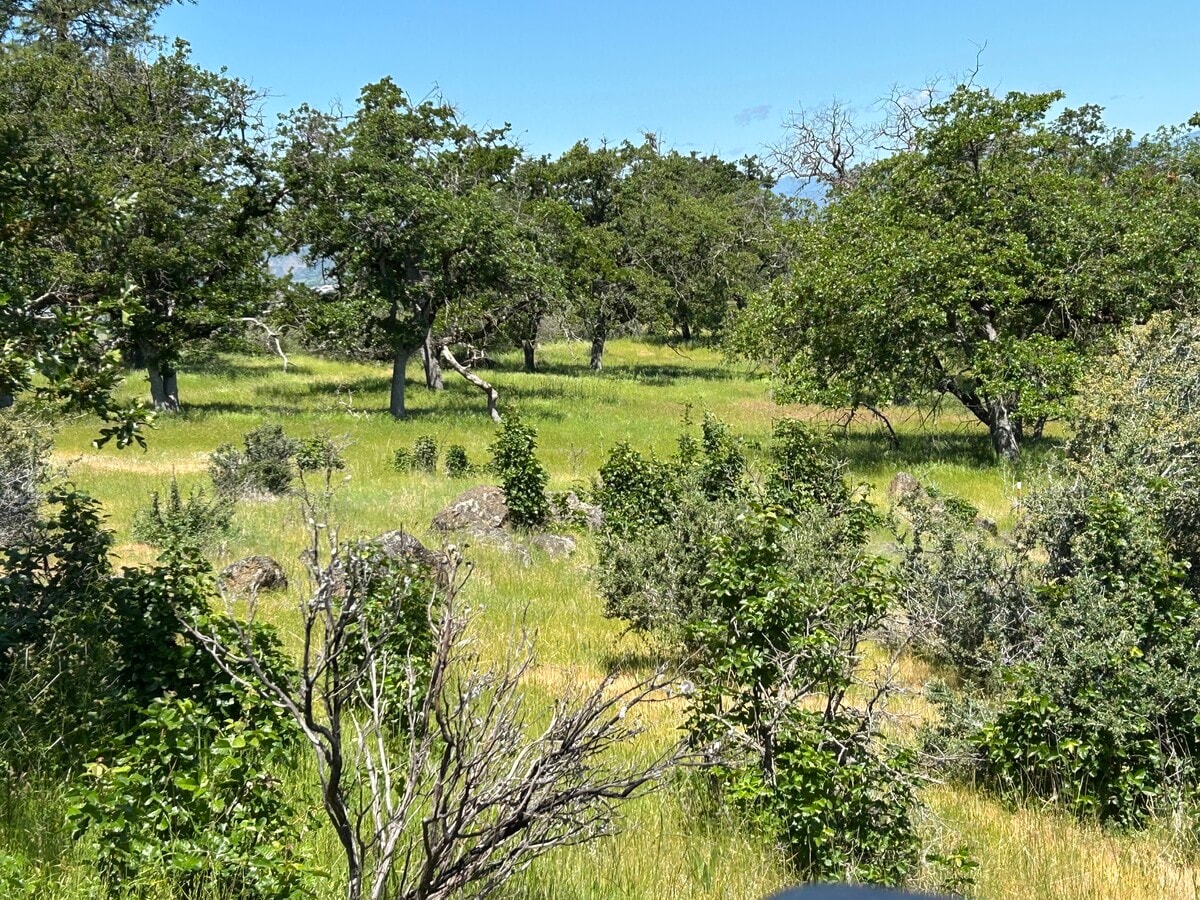 View Photo