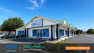 Plus de détails pour 41680 US Highway 19 N, Tarpon Springs, FL - Local commercial à vendre