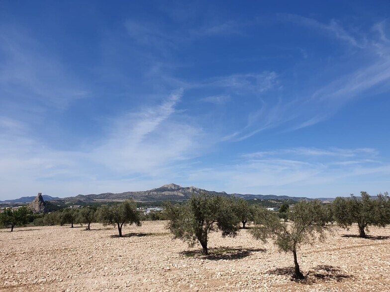 Terrain dans Sax, Alicante à vendre - Aérien – Image 3 sur 5