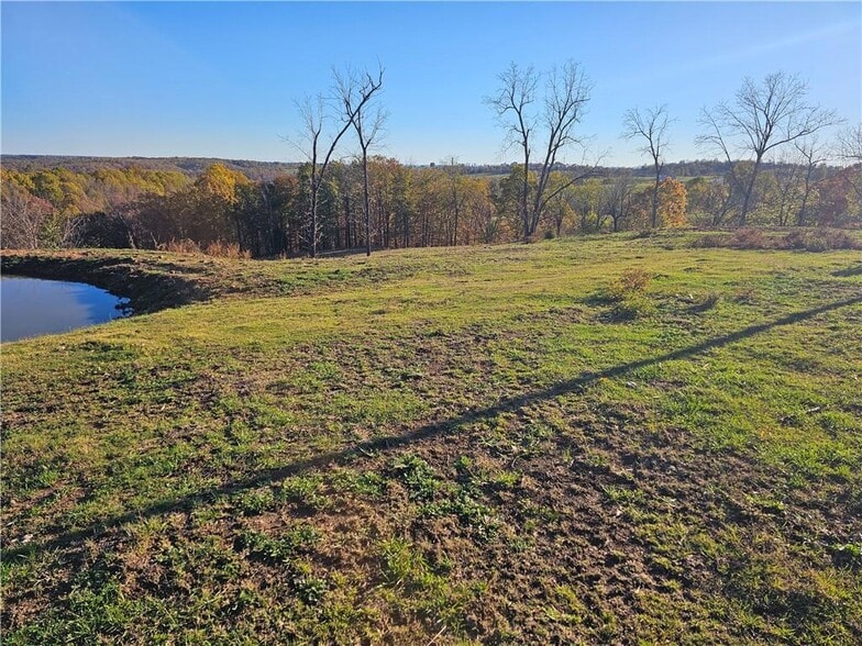 Highway 23 and Madison 1000 - 15.94 Acres, Huntsville, AR à vendre - Photo de l’immeuble – Image 3 sur 13
