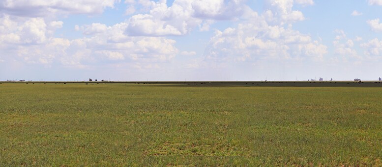 807 County Road 515, Dimmitt, TX à vendre Photo principale– Image 1 sur 6