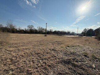 Plus de détails pour 301 S Parsonage St, Bennettsville, SC - Terrain à louer