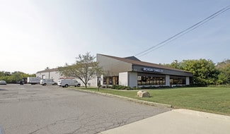 Plus de détails pour 45285-45319 Grand River Ave, Novi, MI - Industriel/Logistique à louer