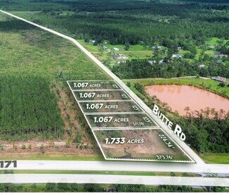 Plus de détails pour Highway 171 & Butte Rd, Longville, LA - Terrain à vendre