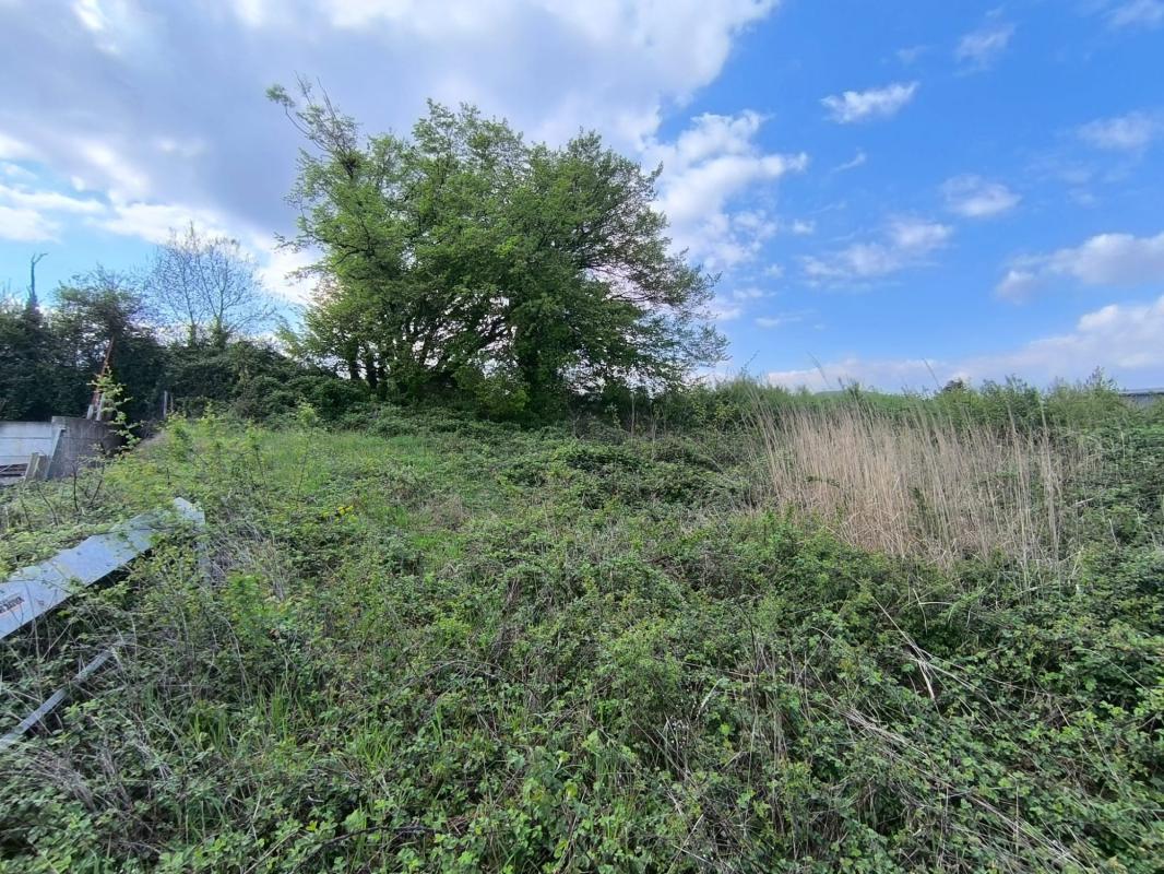 Terrain dans Frontenas à vendre Plan de site– Image 1 sur 2