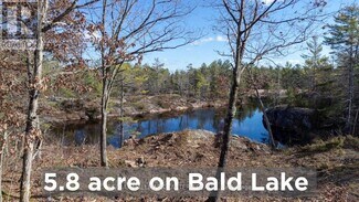 Plus de détails pour 12 Fire Route 79B, Trent Lakes, ON - Terrain à vendre