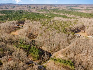 Plus de détails pour 0 Landers Chapel Rd, Lincolnton, NC - Terrain à vendre