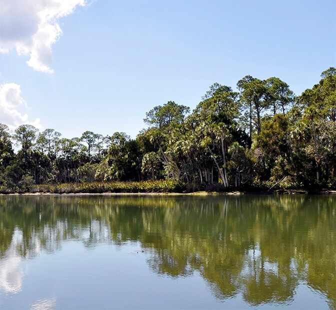 Cortez Blvd & Marys Fish Camp Rd, Weeki Wachee, FL à vendre Photo principale– Image 1 sur 16