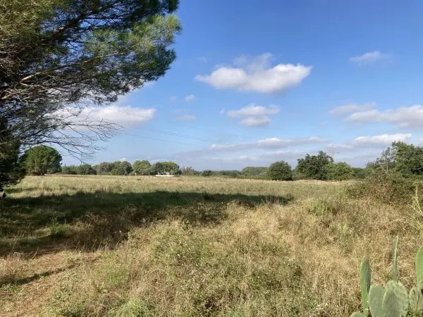 Terrain dans Palau-del-Vidre à vendre - Aérien – Image 1 sur 4