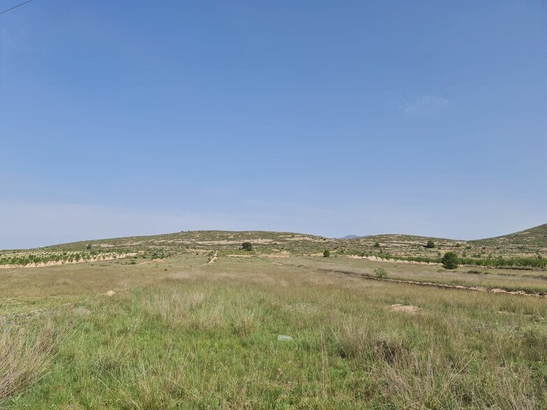 Terrain dans Jumilla, Murcia à vendre - Photo principale – Image 1 sur 9