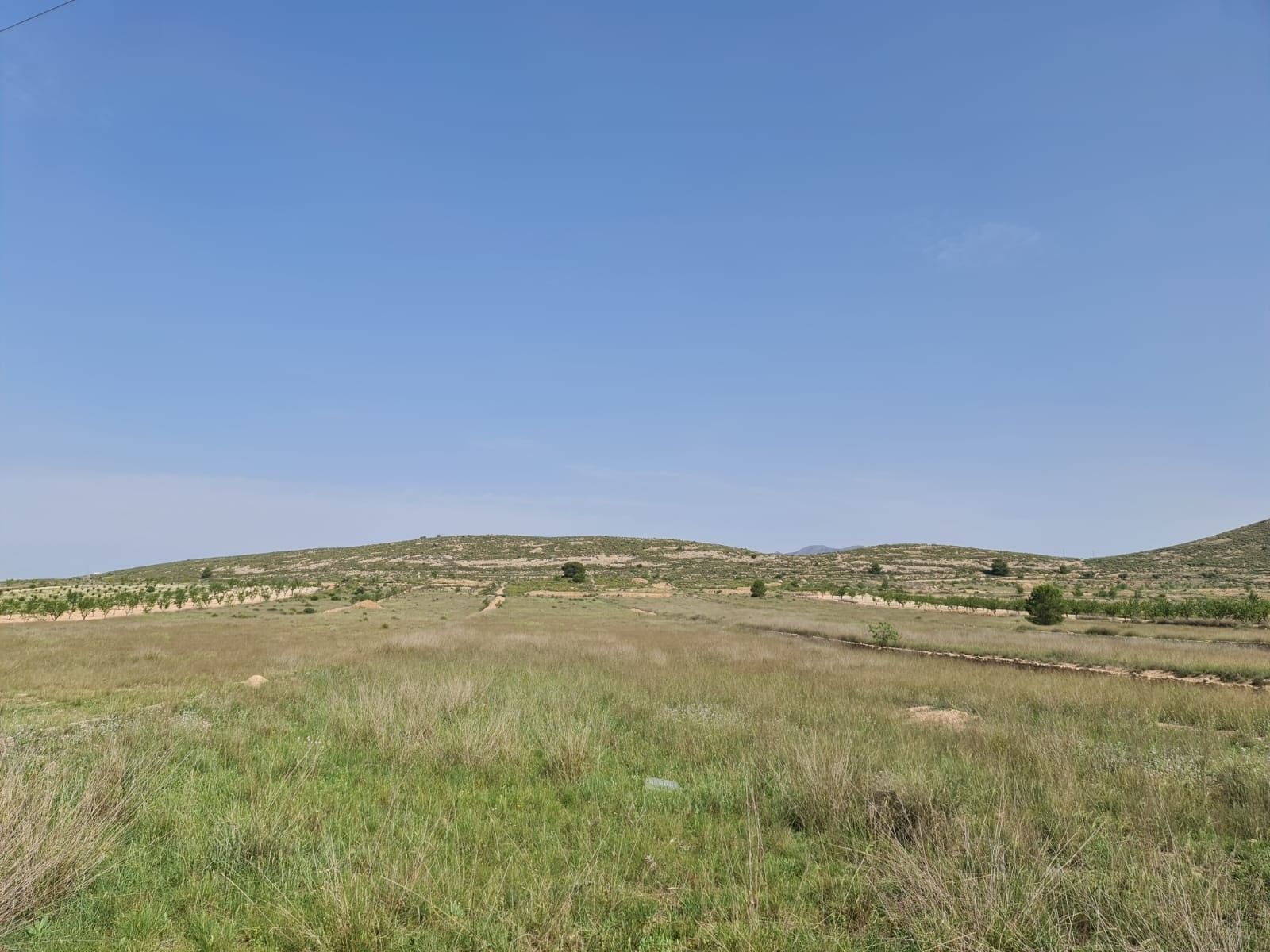 Terrain dans Jumilla, Murcia à vendre Photo principale– Image 1 sur 10