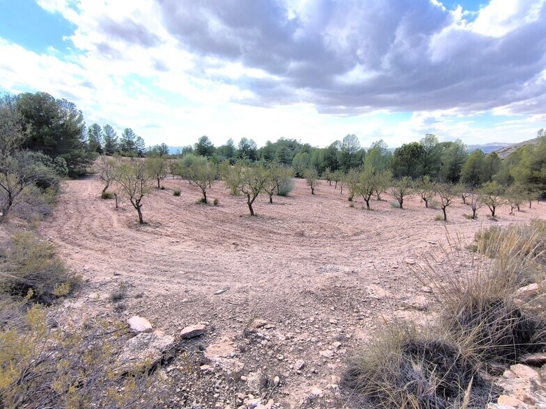 Terrain dans MURCIA à vendre - Photo principale – Image 1 sur 6