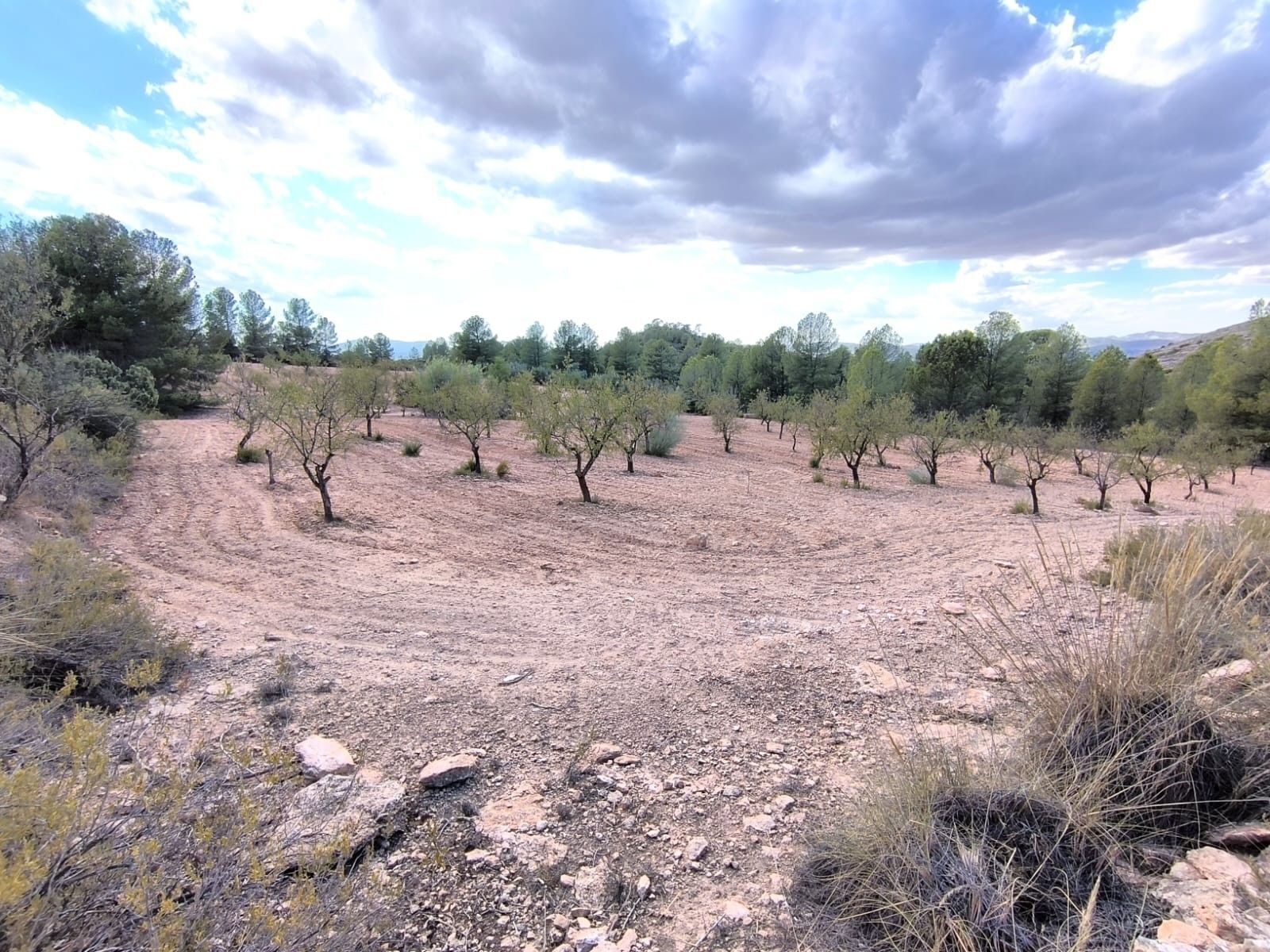 Terrain dans MURCIA à vendre Photo principale– Image 1 sur 7